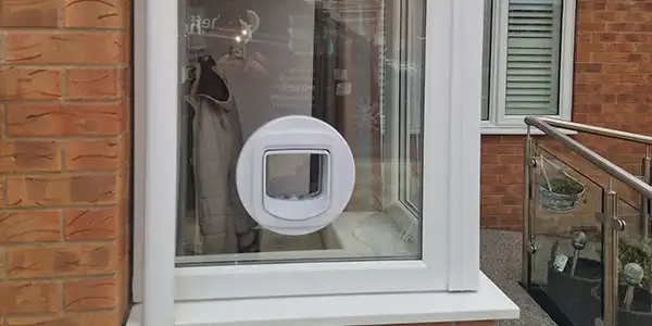 How to fit a cat flap